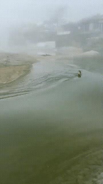 一味地随波逐流，命运也只能是听天由命了。