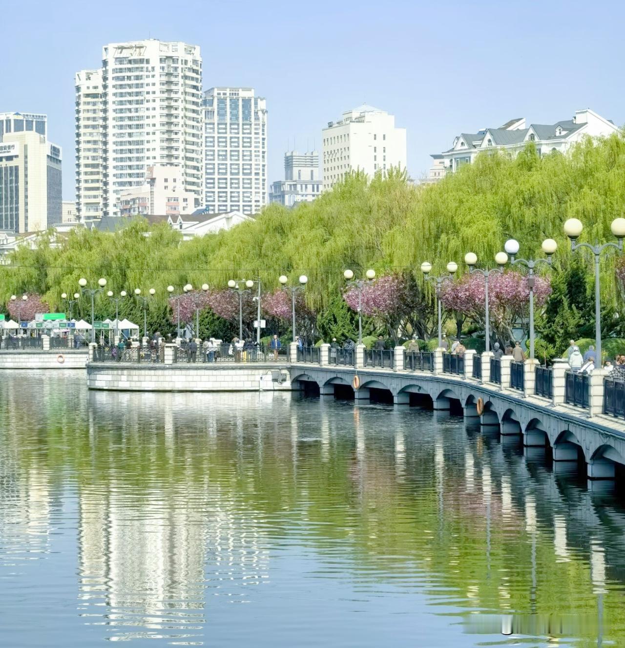 暮春风软拂滨城，
草木蓄力在舒展 ，
漫步儿童公园行，
亭畔晴光绿意盈。

一树