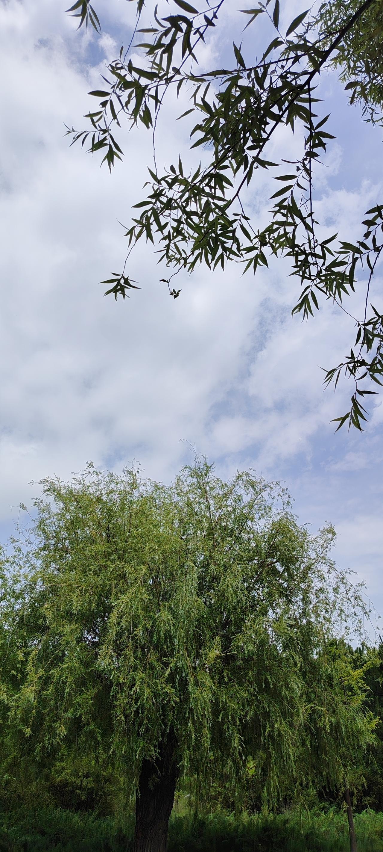 你会晒出夏日氛围感吗当然会晒！真正的夏日氛围感，从来不是刻意硬凹的滤镜大片，而是