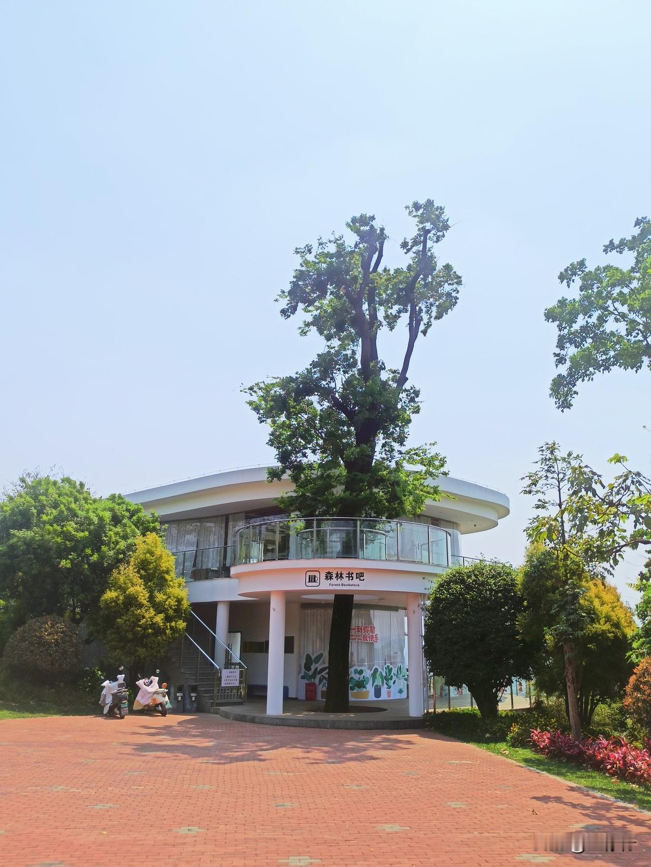 建在山上的图书馆。云南弥勒髯翁森林公园里有个森林书吧。坐在书吧，或远观山林美景，