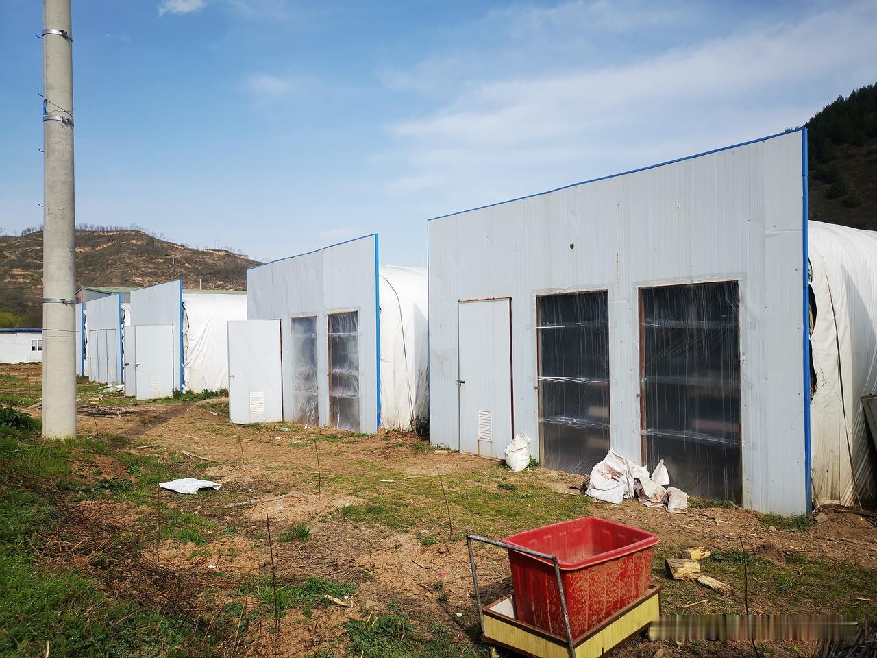 食用菌设施栽培，并不适合作为农业创业项目！

食用菌的营养价值微乎其微，几乎可以