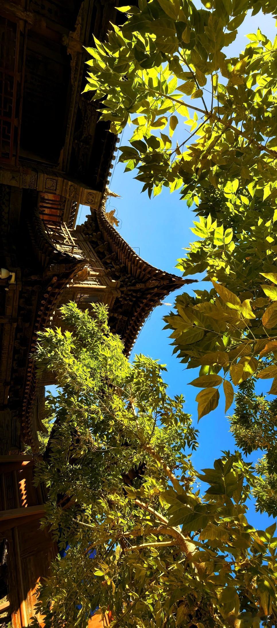 张掖大佛寺，始建于西夏永安元年间，是国内保存最为完整的西夏皇家寺院，静静伫立在河