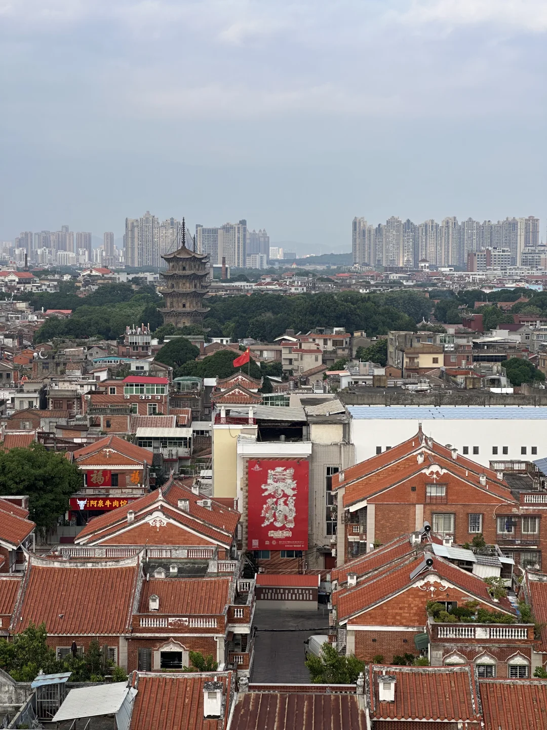 为了这组图我特意飞了一趟泉州