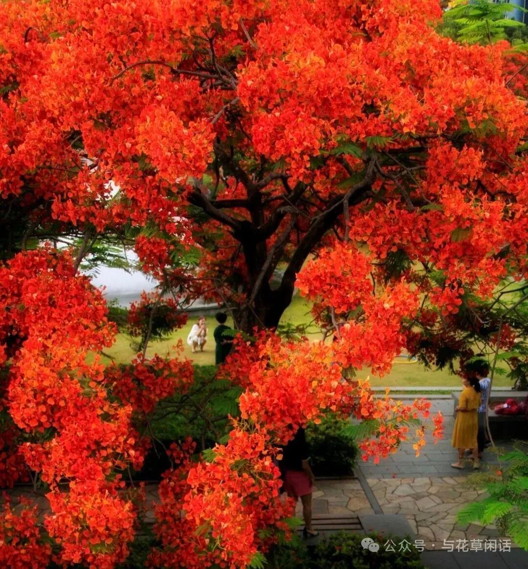 分享风景图片