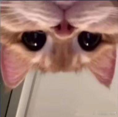 #服装模特改行当陪诊师月入过万#陪诊师这个职业也是很重要的，收入高也可以理解，现