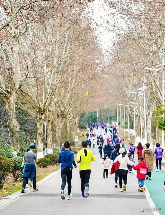 坚持跑步几个月之后的感悟。

似乎真的成了一种习惯，前几天大雪，空了两天，当再次