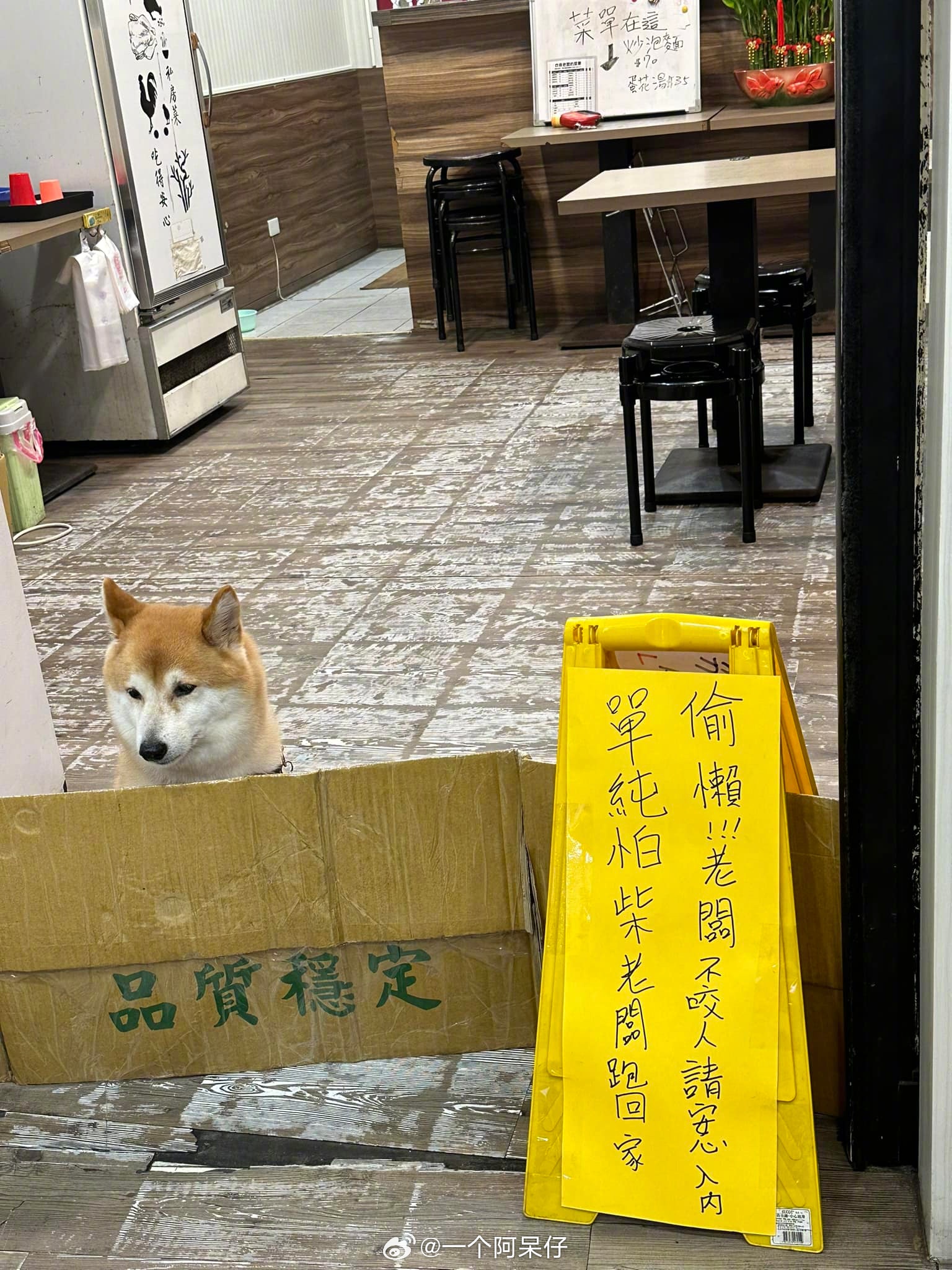 有趣的台湾网图，台湾网友路上观察[照相机]（第88期） ​​​