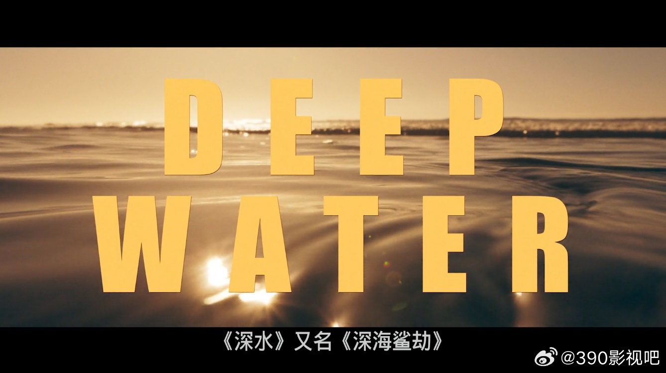 BD1080P蓝光中字版 ！深水 Deep Water (2026)简介：一架从