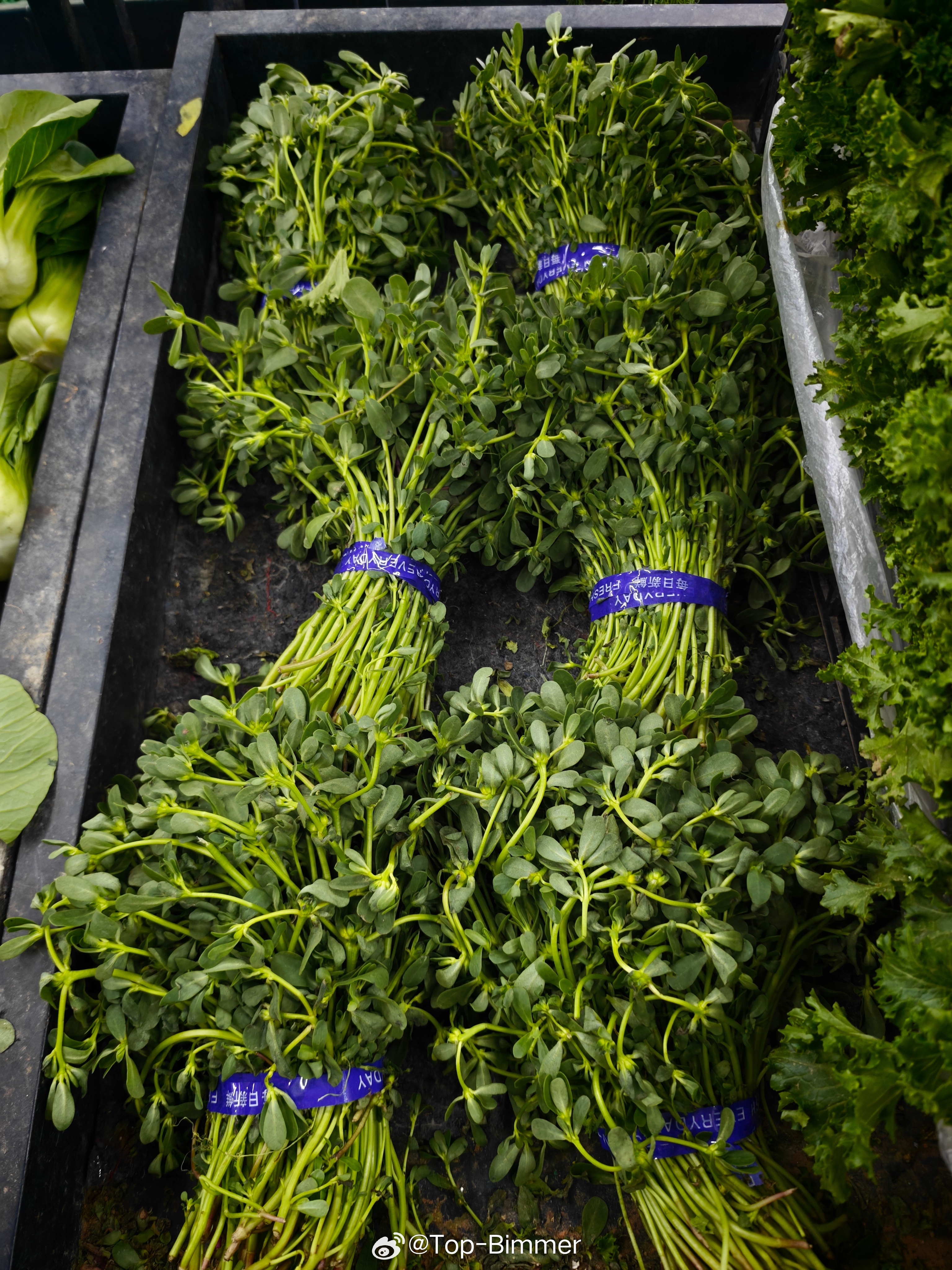 这个，我小时候喂猪吃