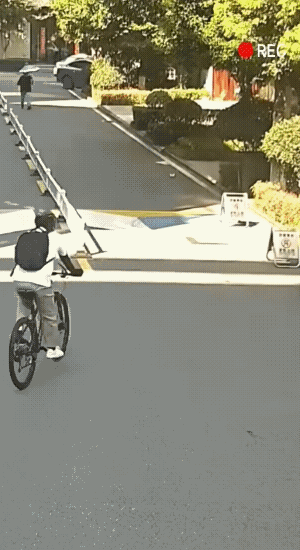 她家的狗不咬人可绊上。所以说，溜狗还是要拴绳的。
骑二八大杆的小伙子，真的没有想