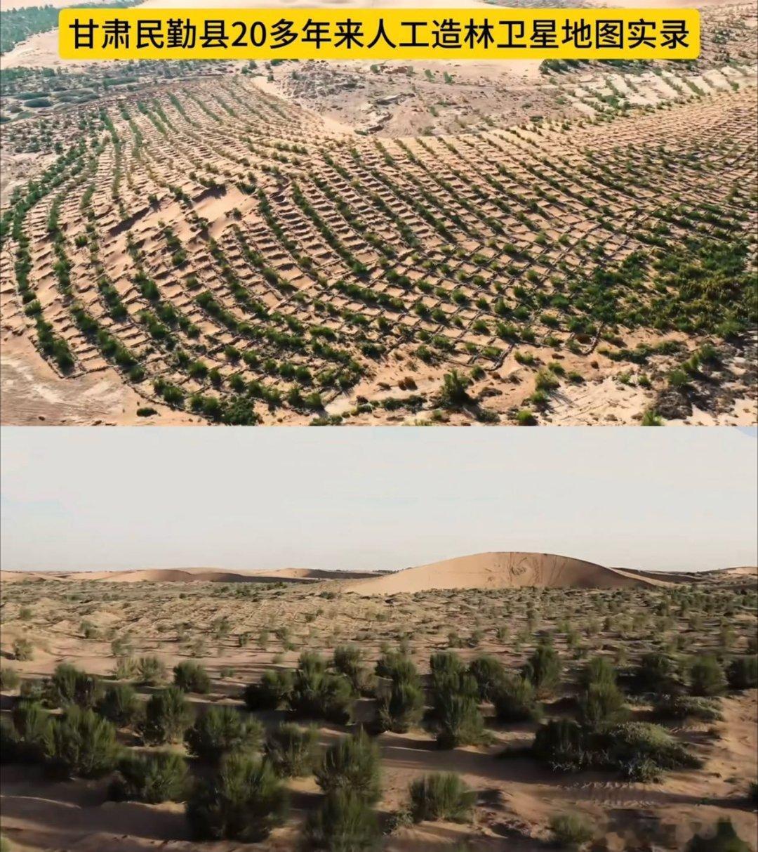 十个勤天助农实绩 奔走各地帮扶农户，带货产销、植树治沙，少年们以真心践行担当，让