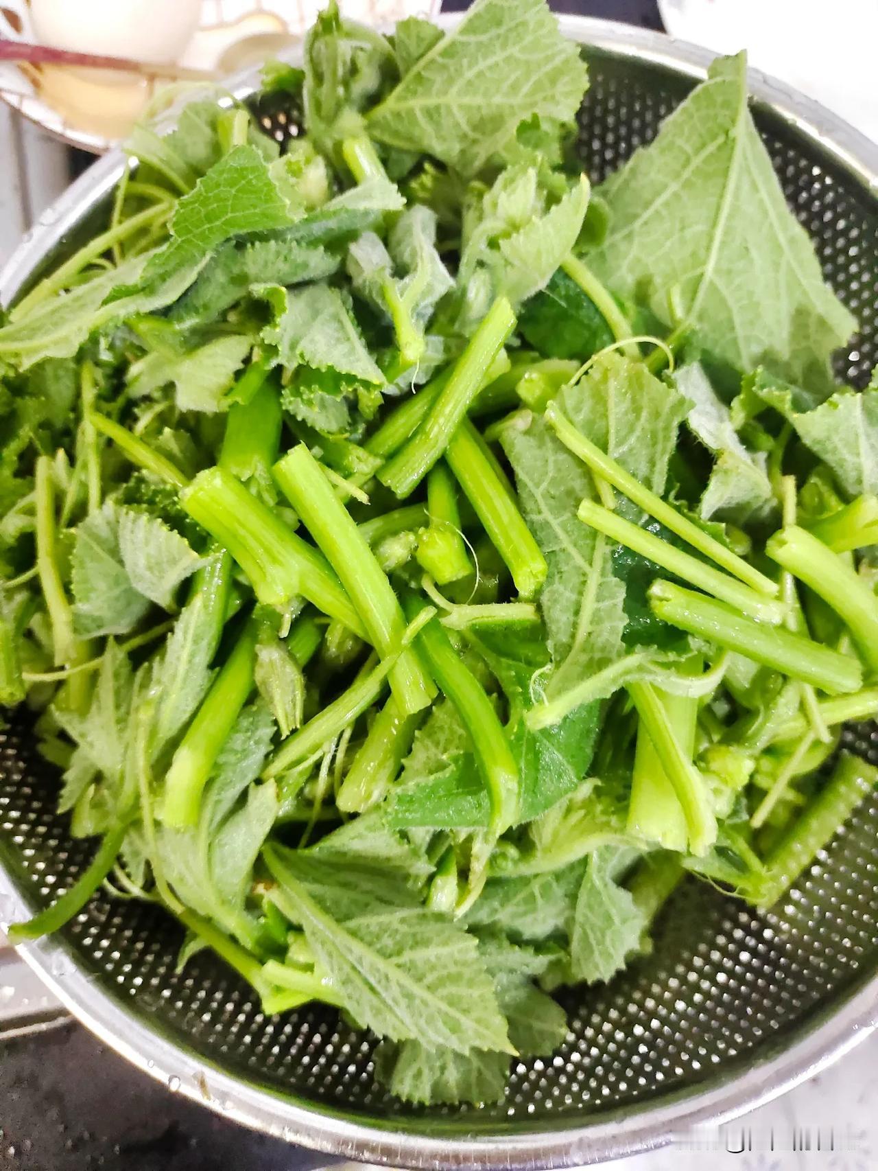 现在的蔬菜贵的要命，还好是住在农村，随便摘个南瓜藤苗又是一道美味的蔬菜。

往年