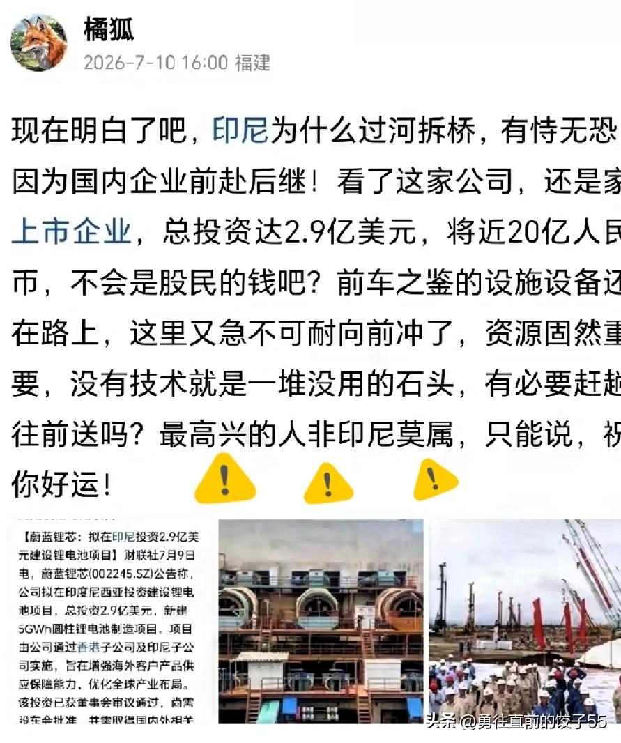国内中资企业刚忙着把设备从印尼往回撤，前脚还没落地，蔚蓝锂芯后脚就宣布要砸2.9