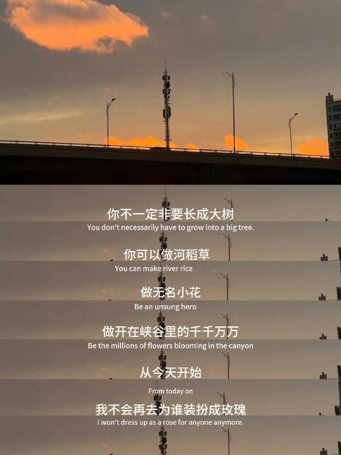 “开心就好”的意思是：不用在意别人了。 