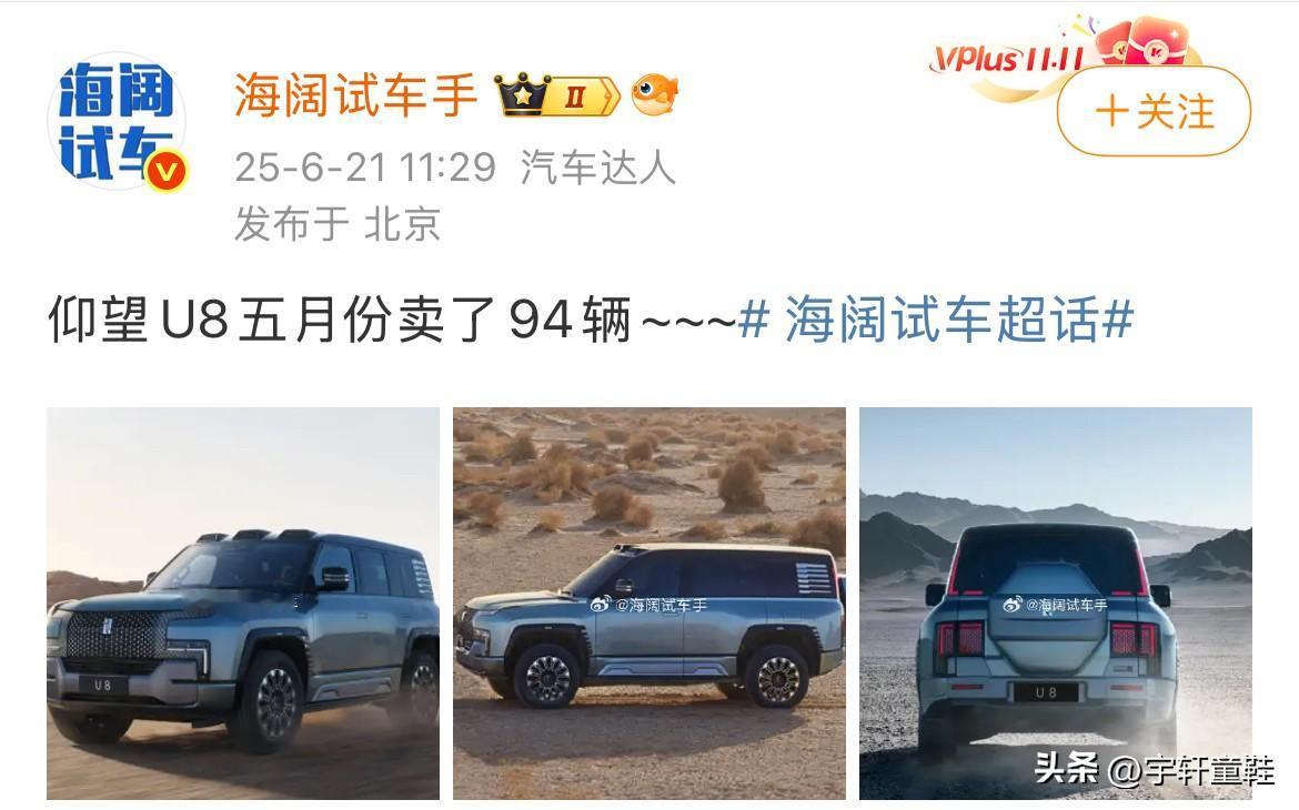博主：“仰望U85月卖了94辆！”
仰望U8：“我5月卖94辆，怎么了？就这成绩