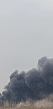 在现今的所谓“东大”，能理解小人的一切行径是行世的绿灯 捷径、是通世良方、是发家