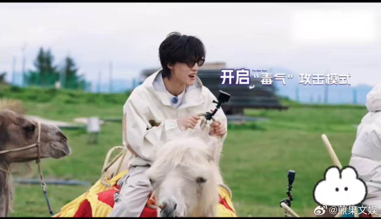 张泽禹被臭yue了苏新皓的骆驼放屁臭到张泽禹了一路向海的少年这个片段的真实感很打