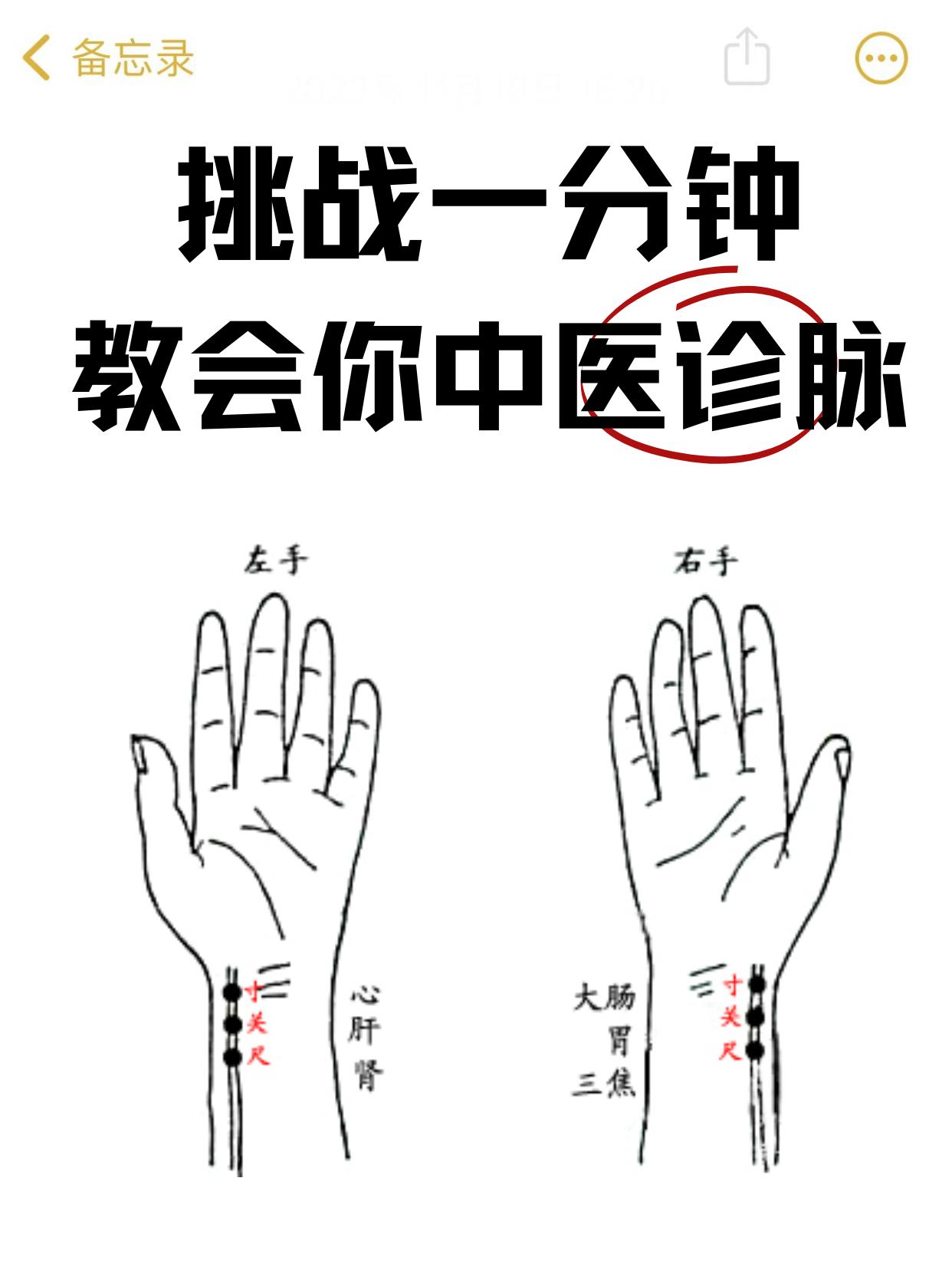 挑战一分钟教会你中医基础把脉。