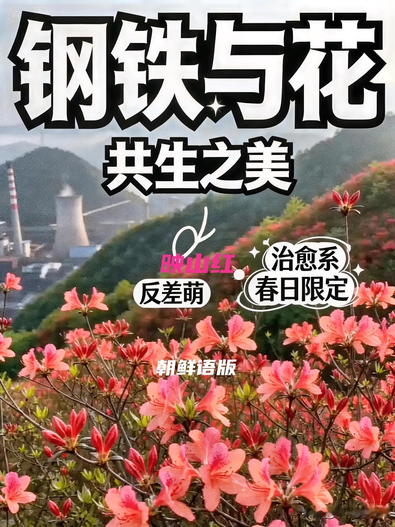 朝鲜语版映山红，好听[赞]
每天分享一点人生感悟