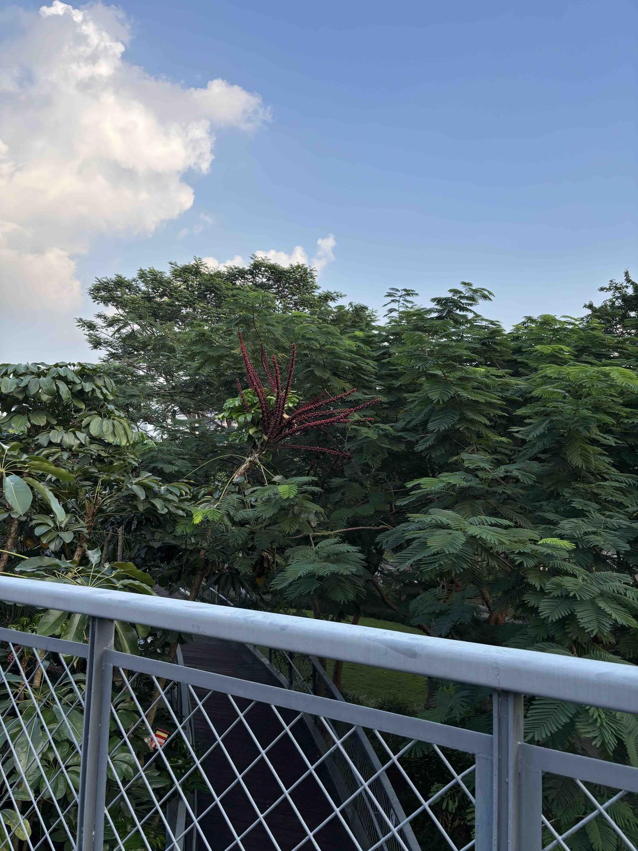 有住校生学校老师跟没有住校生学校老师差别太大了！有住校生的老师相当于全天候在校，