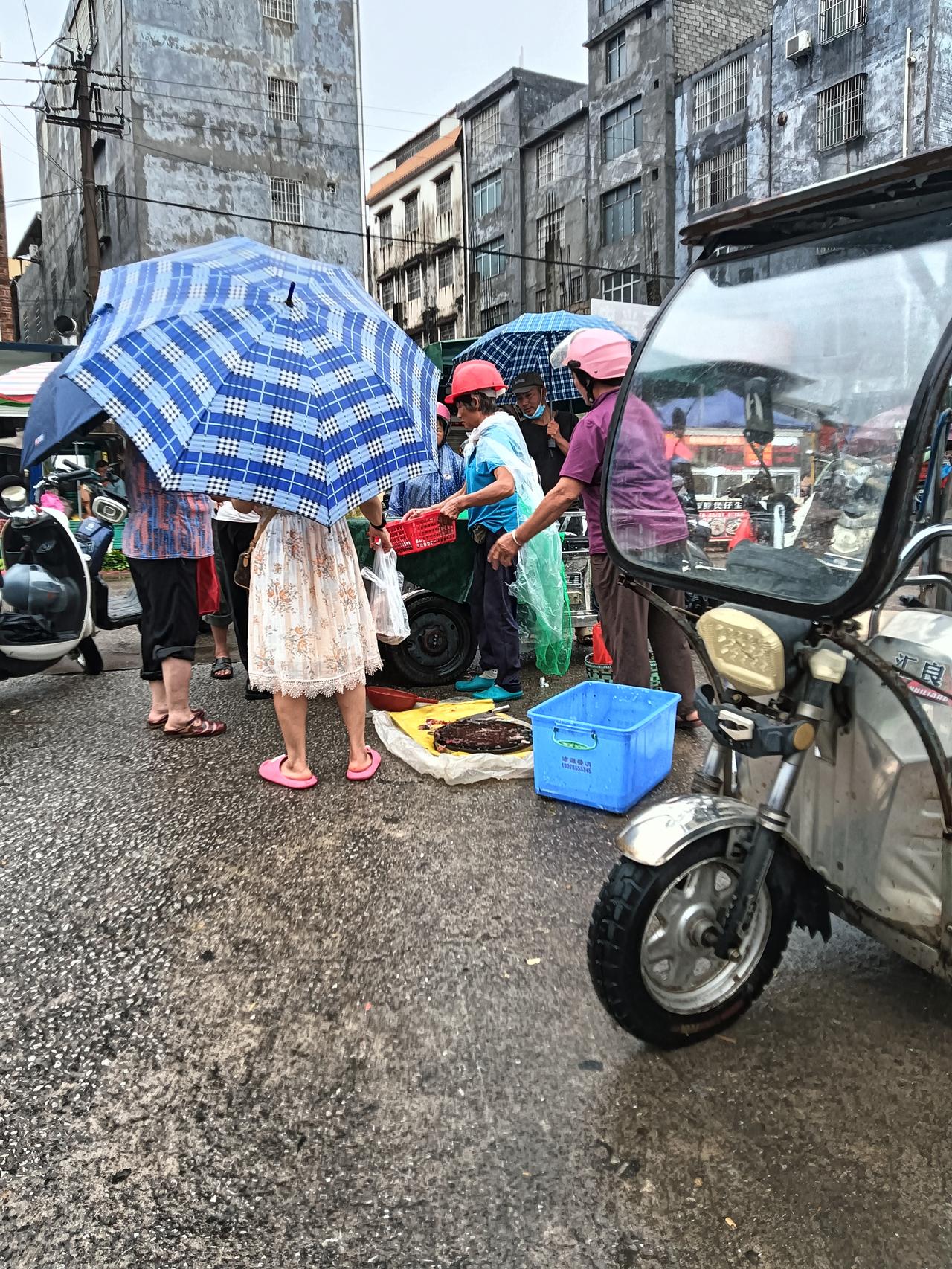 贵港市这两天龙舟水持续落个不停，中午经过龙圣路口小菜市。见一妇女用电三轮车拉有鱼