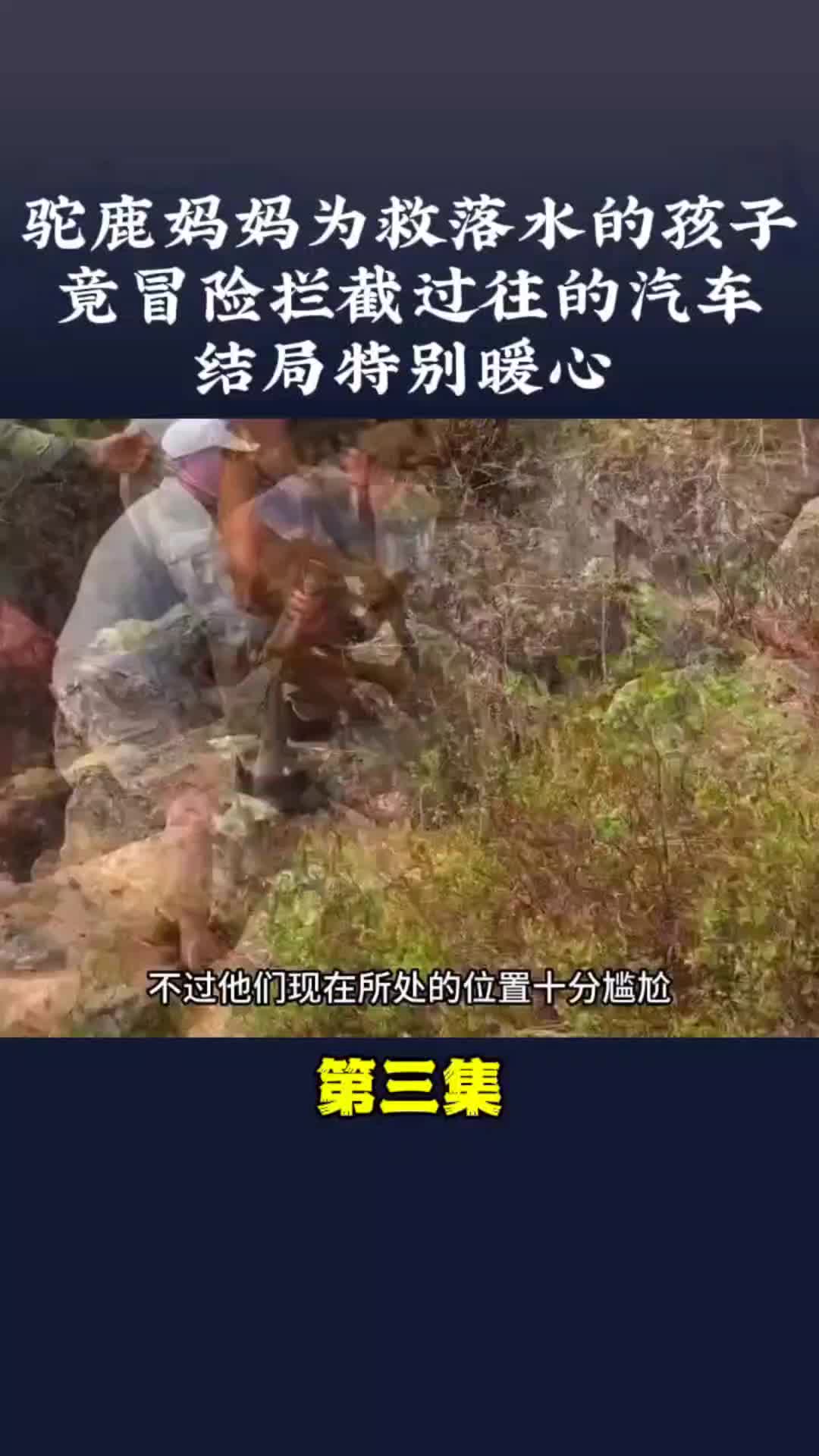 我的观影报告