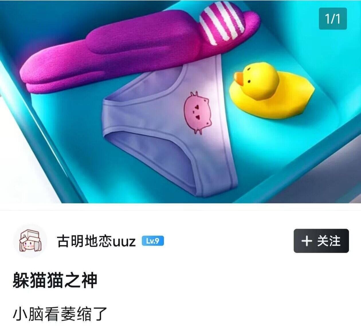 藏老猫高手 