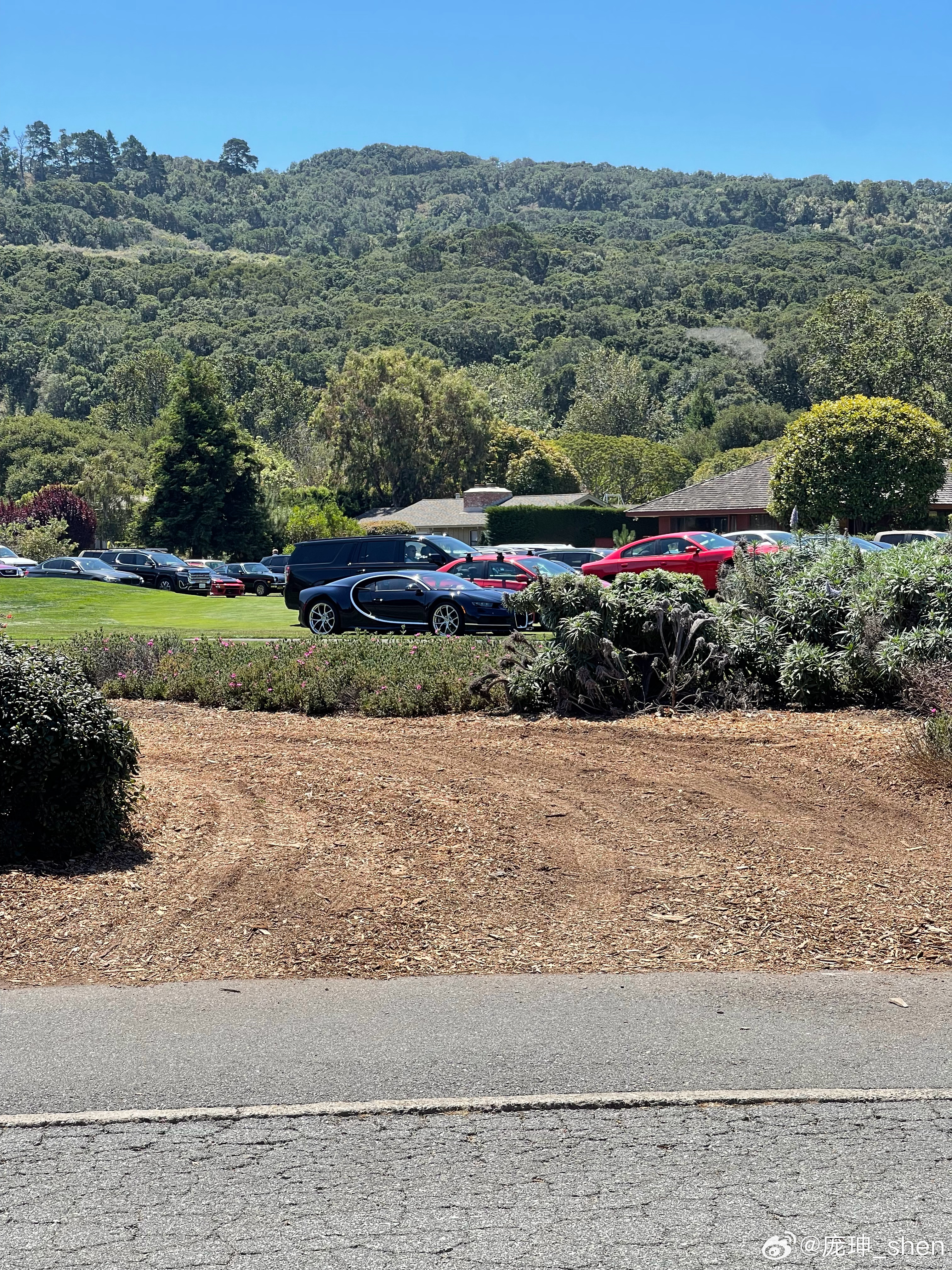 不开玩笑，布加迪在圆石滩真的是街车，每天随手就能拍到不少😂 ​​​