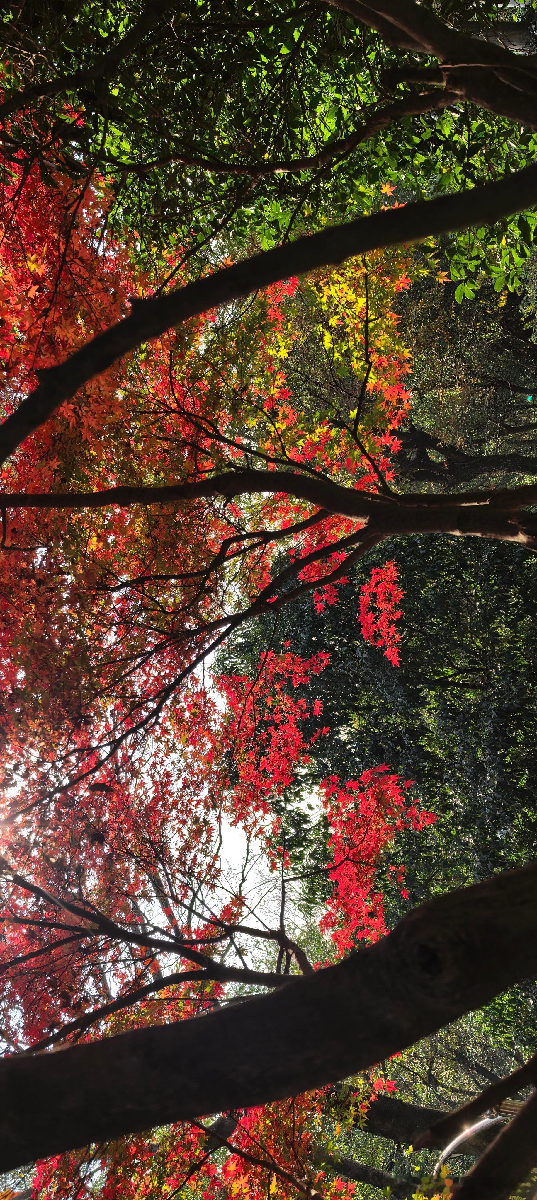 理查德-塞勒是2017年诺贝尔经济学奖得主，他在《错误的行为-行为经济学关于世界