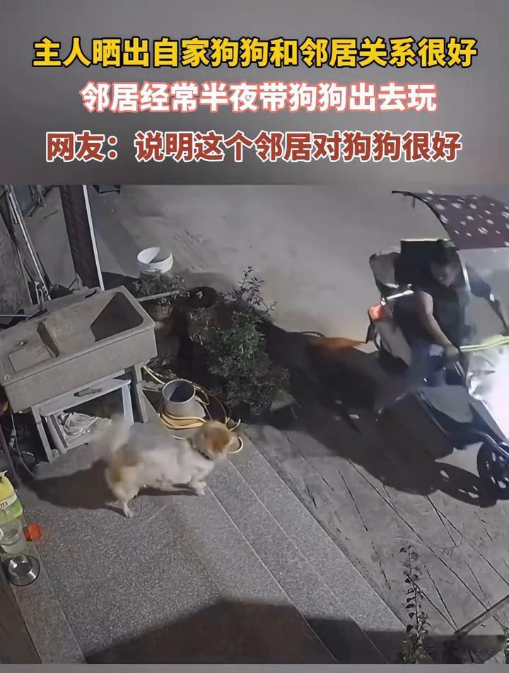 主人晒出自家狗狗和邻居关系很好，邻居经常半夜带狗狗出去玩。网友：说明这个邻居对狗