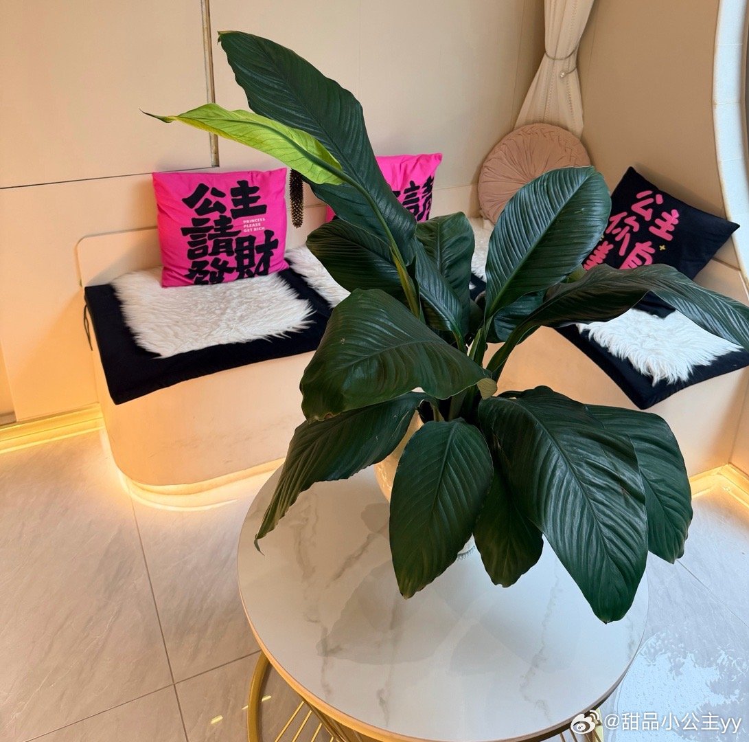 被豆包忽悠花了5万元创业自打开始用AI，确实方便了很多，无论是生活还是工作，有时