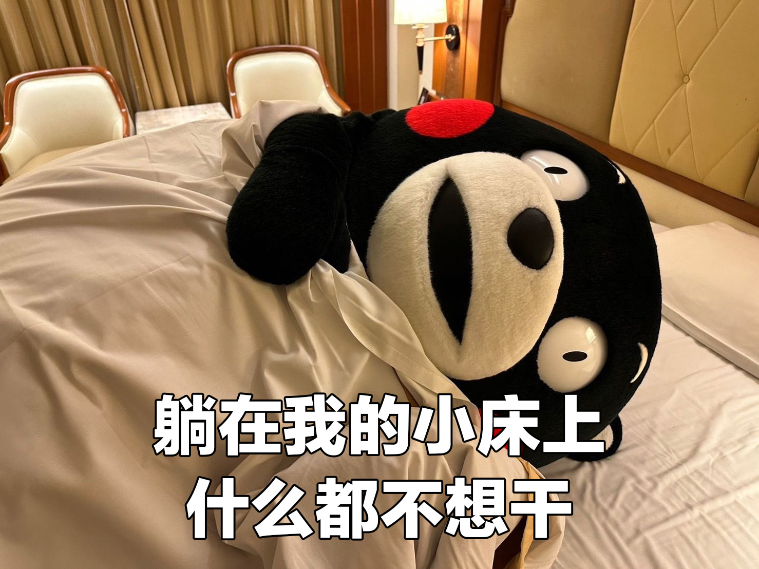 今天的表情包来喽～～ ​​​