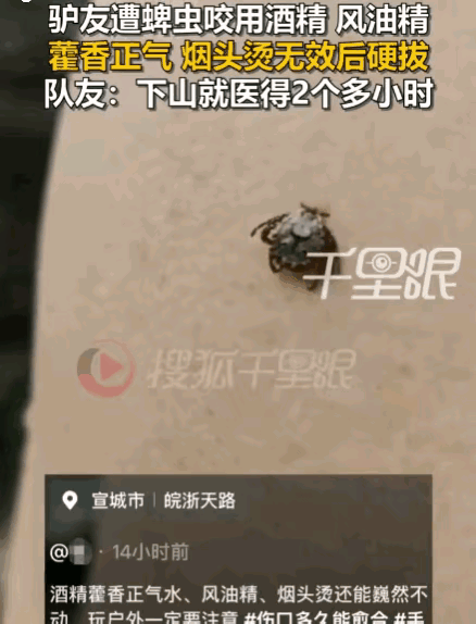 太可怕了！安徽宣城一男子徒步至半山腰时，不幸被蜱虫紧紧咬住！因下山就医需要两小时