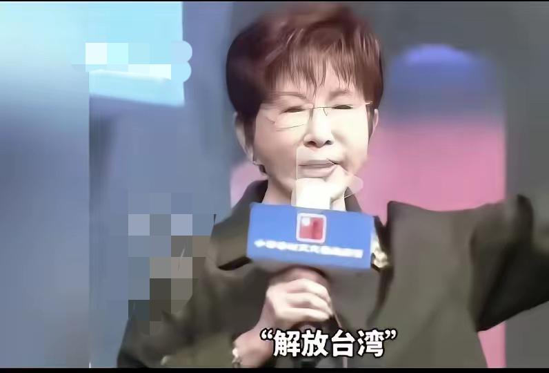 谁都别装糊涂，两岸喊了几十年不同口号，初心从来都是一个！

洪秀柱这番话点透了根