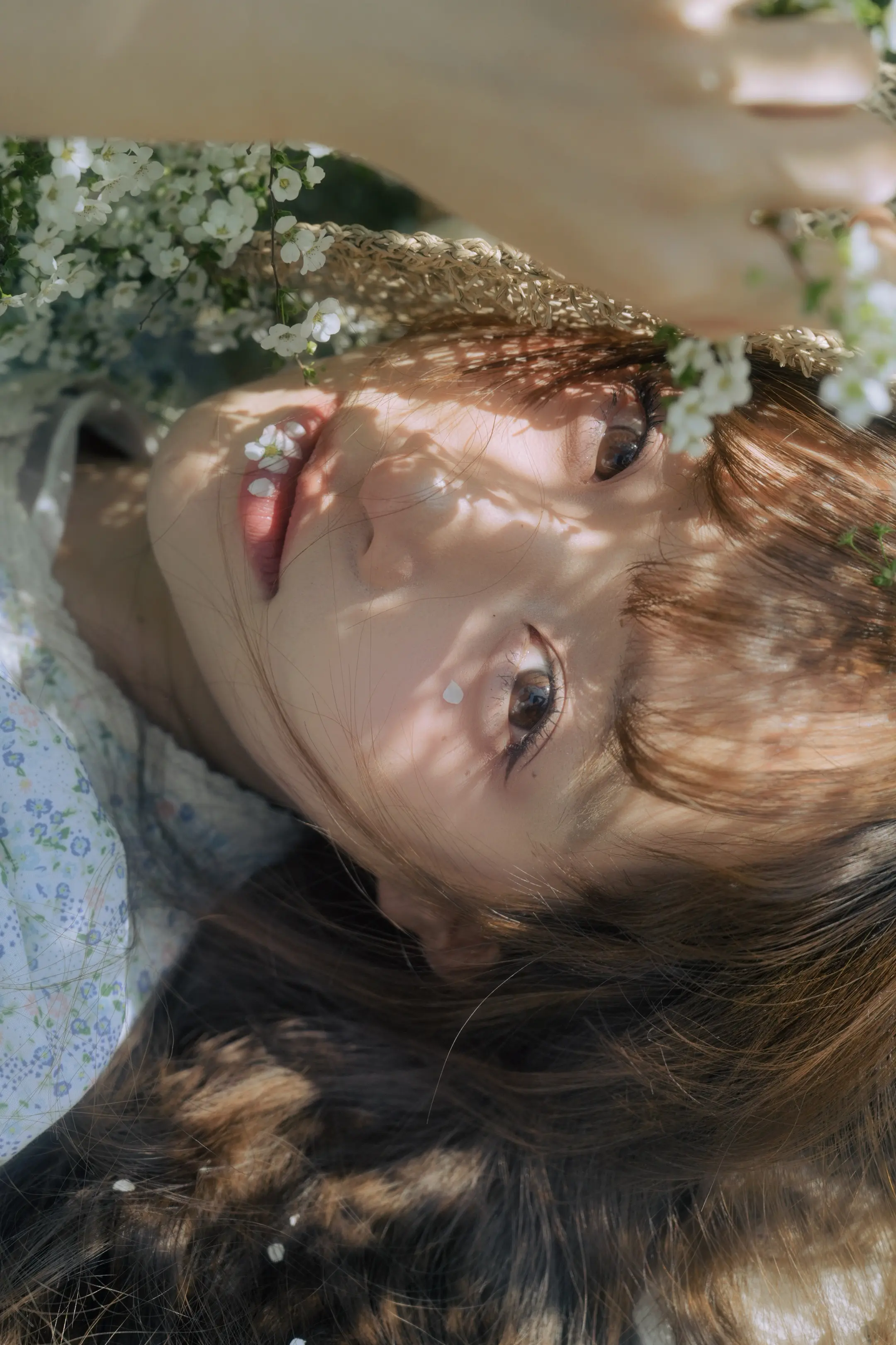 春天是我苦涩的双眼