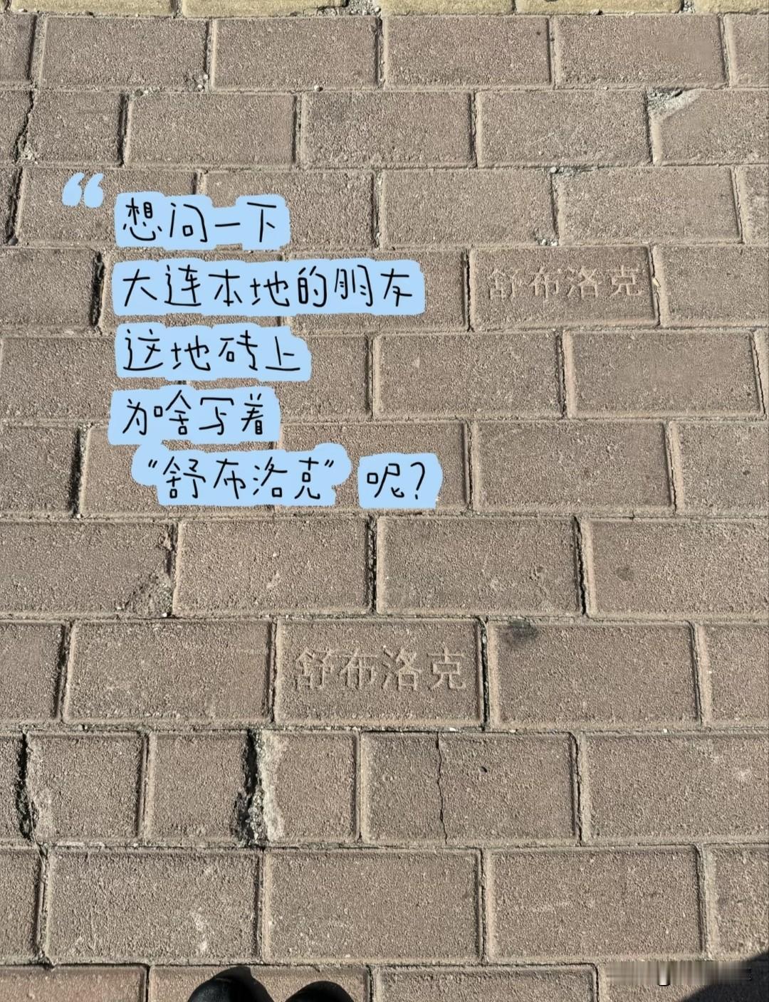大连街边地砖藏冷知识！上面印着舒布洛克是什么？🔥

路过大连街头，发现人行道地