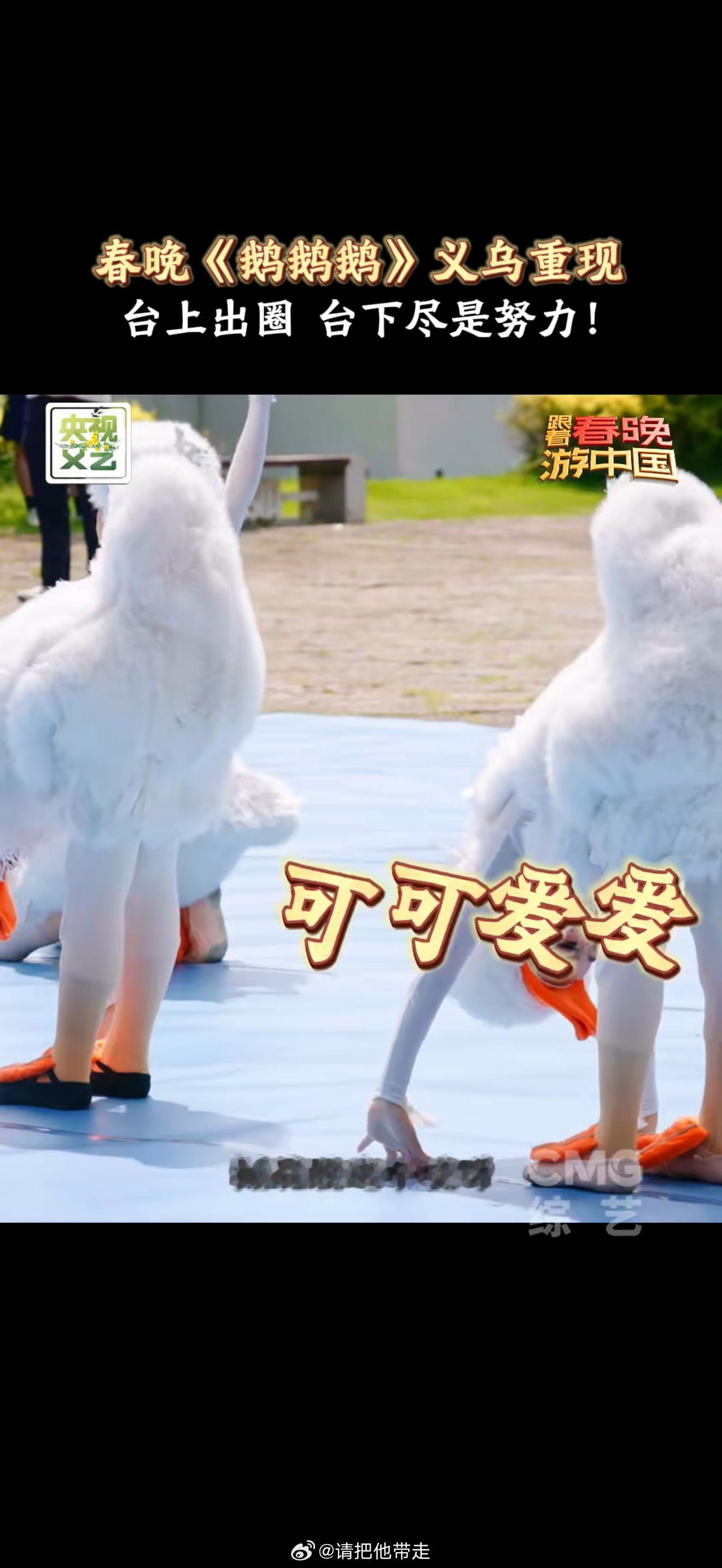 义乌小天鹅们再现春晚舞台朱迅王耀庆被义乌小鹅们萌翻了跟着春晚游中国 义乌小天鹅再