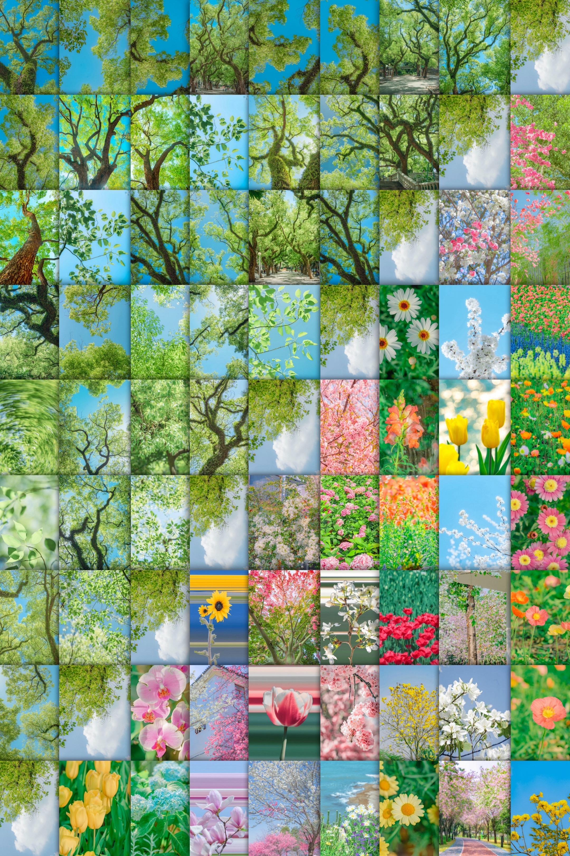 生命是一万次的春和景明。