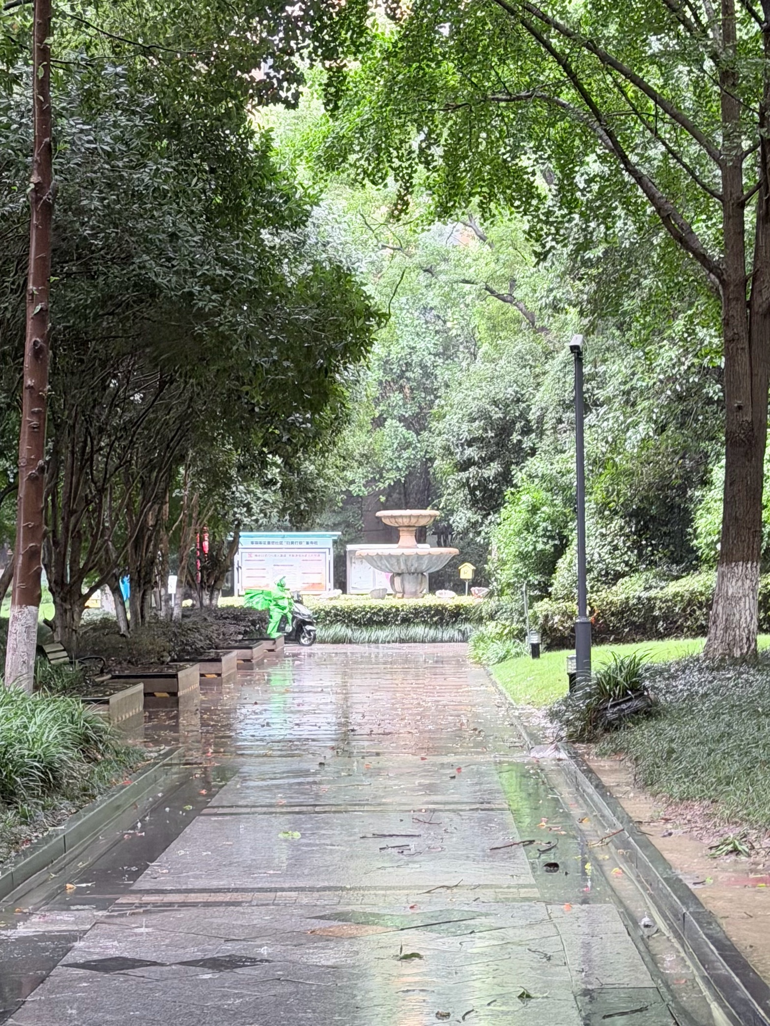 讨厌下雨 忙忙忙