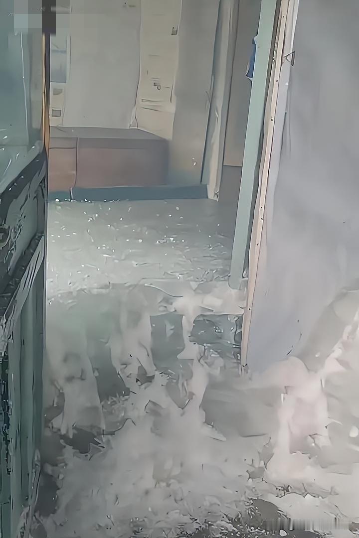 东北忘关水龙头，“冰山”突现家中

近日，东北一户人家闹出大动静。主人外出时竟忘