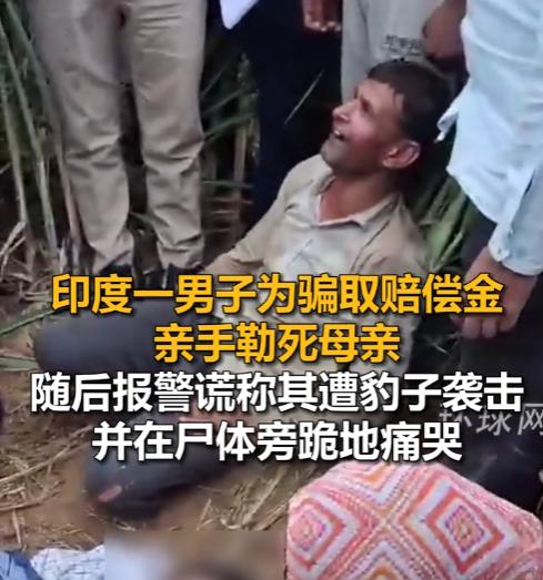 3.5万买断母亲性命！从单人弑亲到跨邦作恶，印度杀亲骗保成了泛滥成灾的大产业！