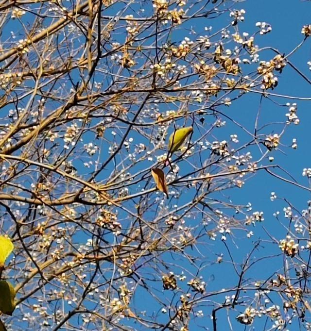 别在班主任面前说他班不好，除非他主动问。班主任真把学生当自己孩子带，你一通吐槽，