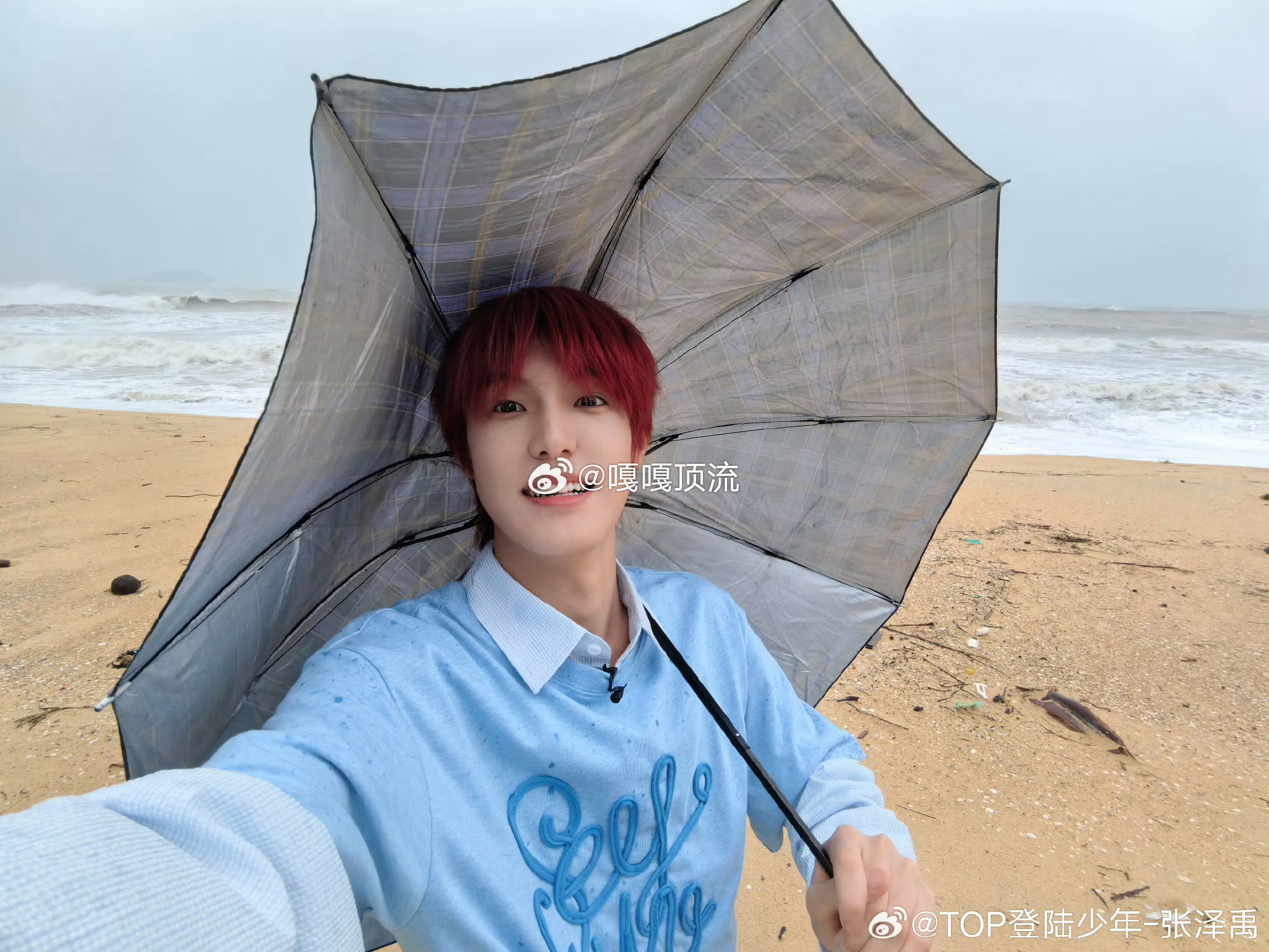 张泽禹用名字缩写画了颗椰树 救命！张泽禹的脑洞也太会了吧！用自己的名字缩写勾勒出