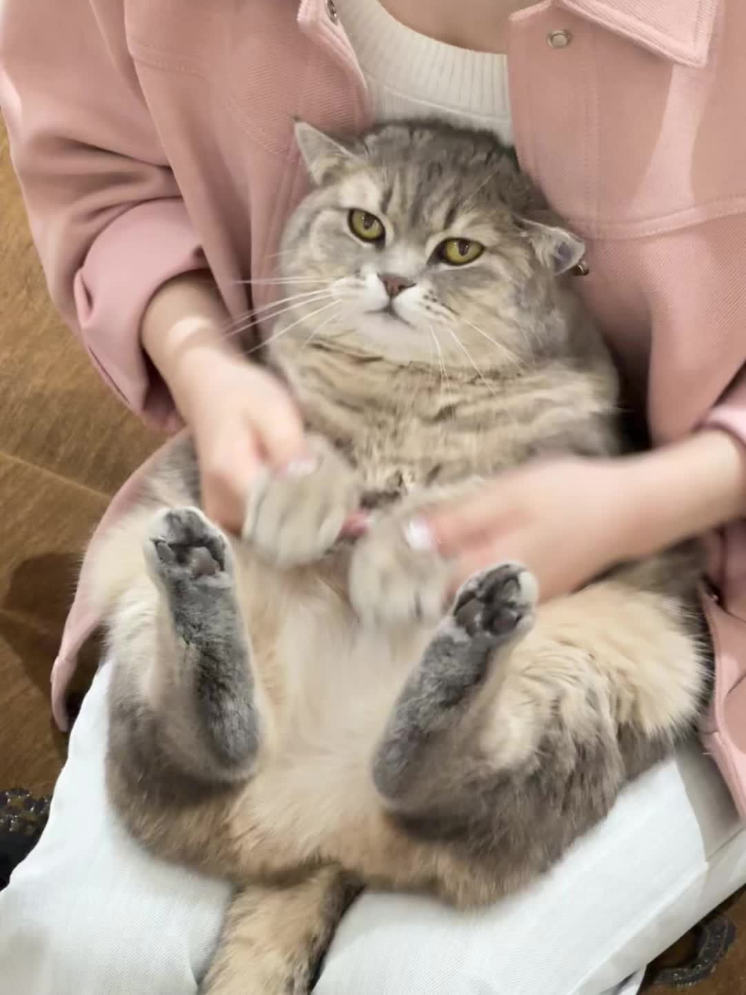 囊囊囊🎤🎶(･∞･э )3～囊囊囊🎤🎶(･∞･э )3～囊囊囊...