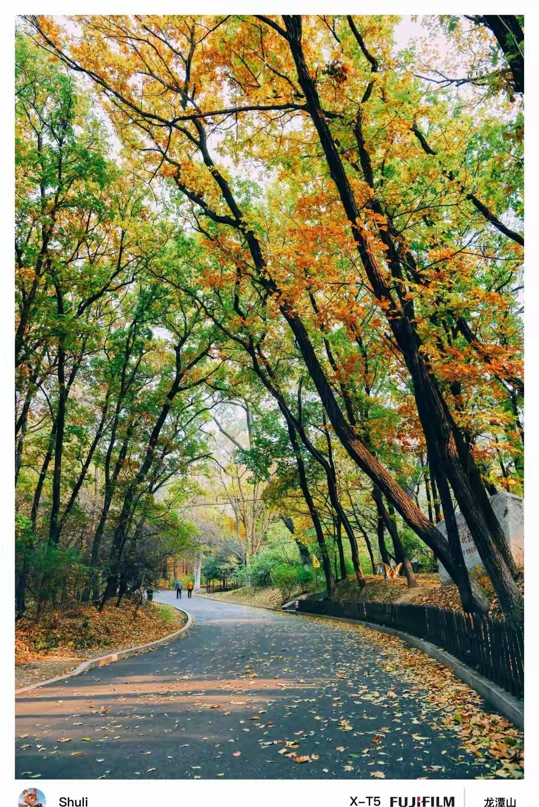 上联.秋月映碧水，诚邀下联下联：春雨润绿杨。