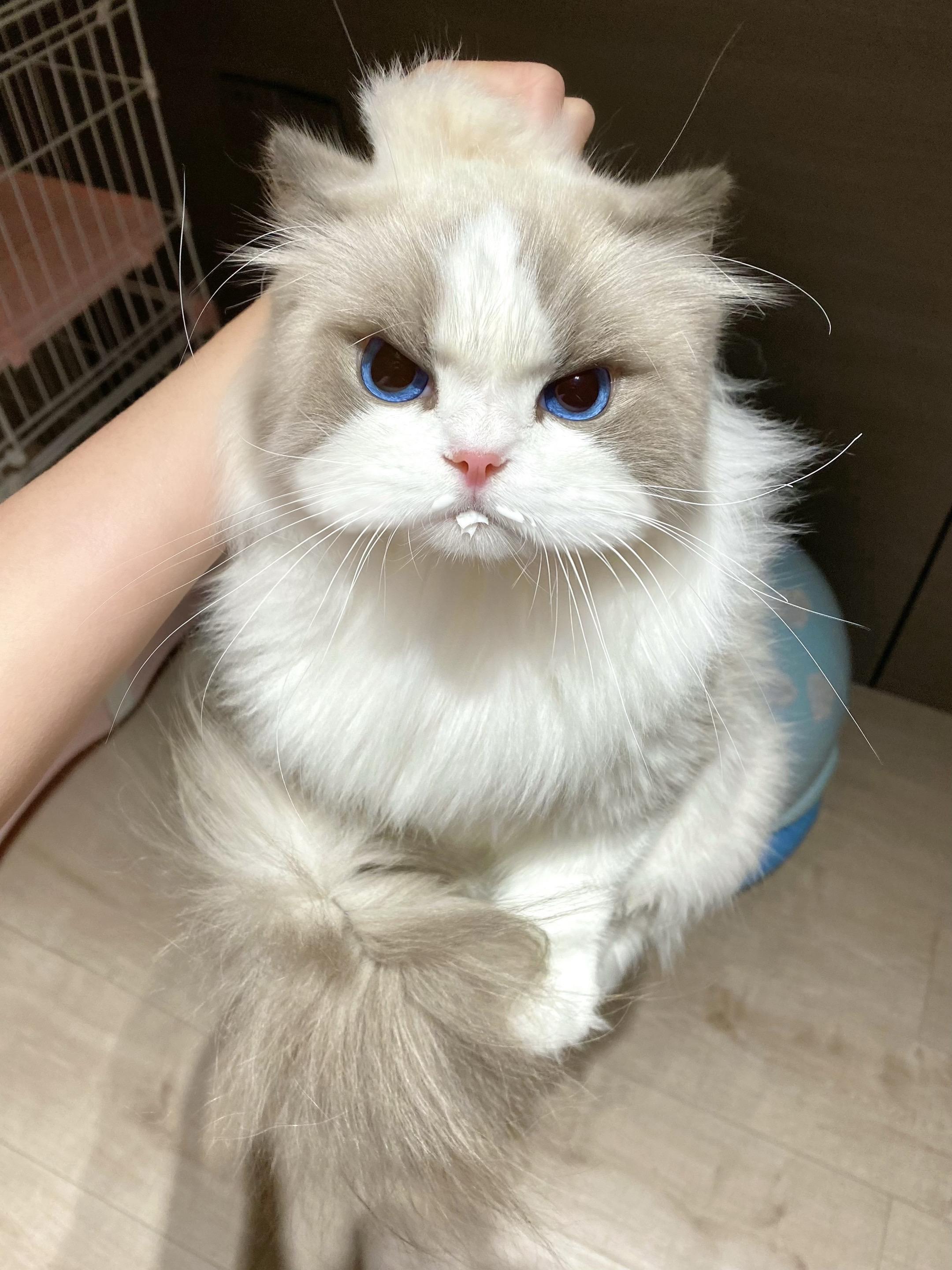 无语了！室友老偷喝我的酸奶怎么办！？一不留神回头看就偷喝了两口！我还没喝呢！