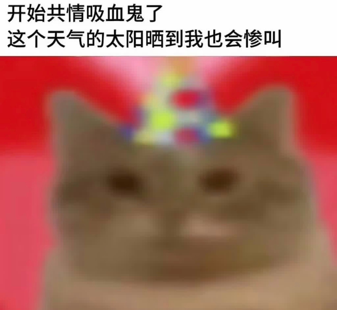 今日memesfunny memememe