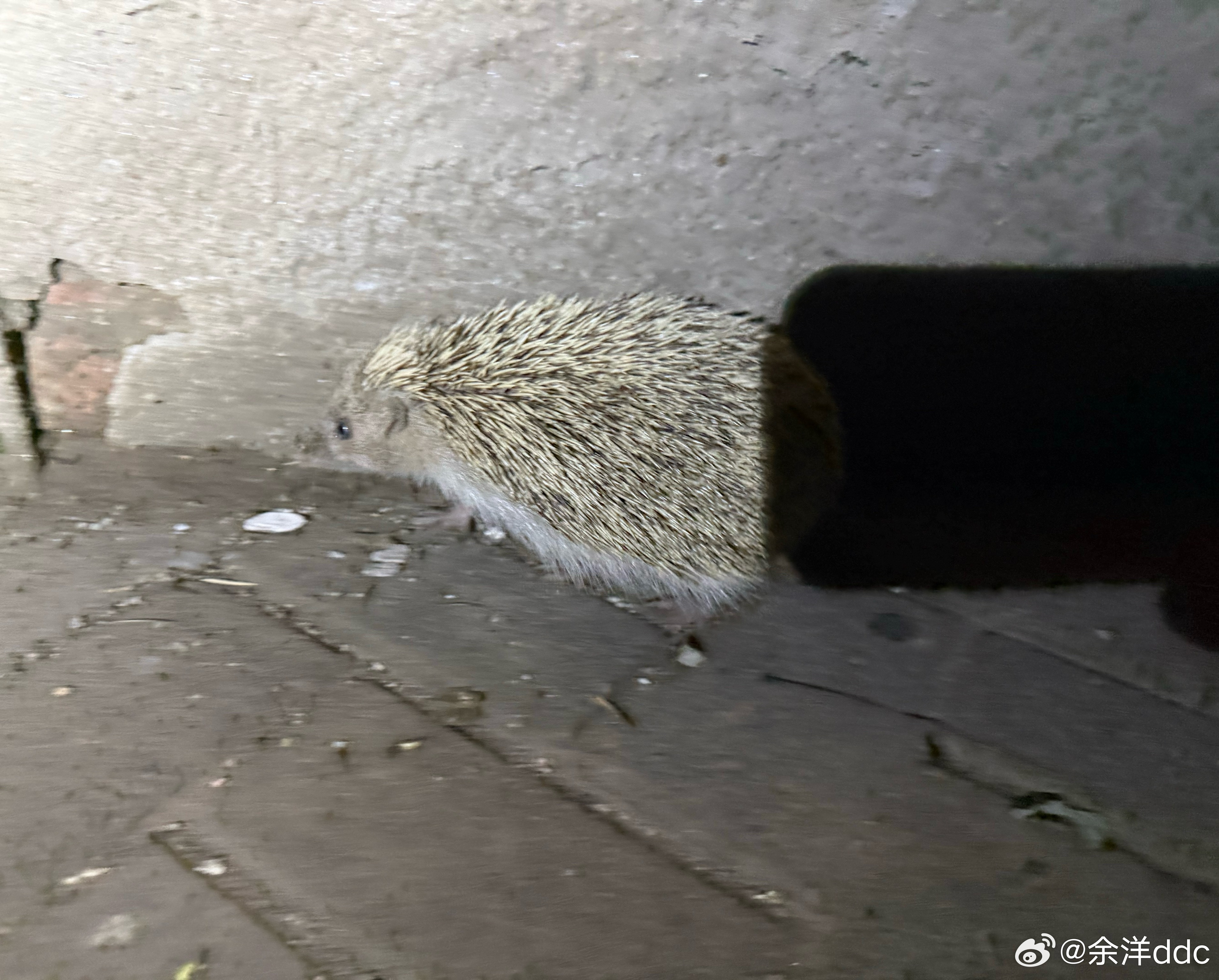 是想扎我轮胎吗… 