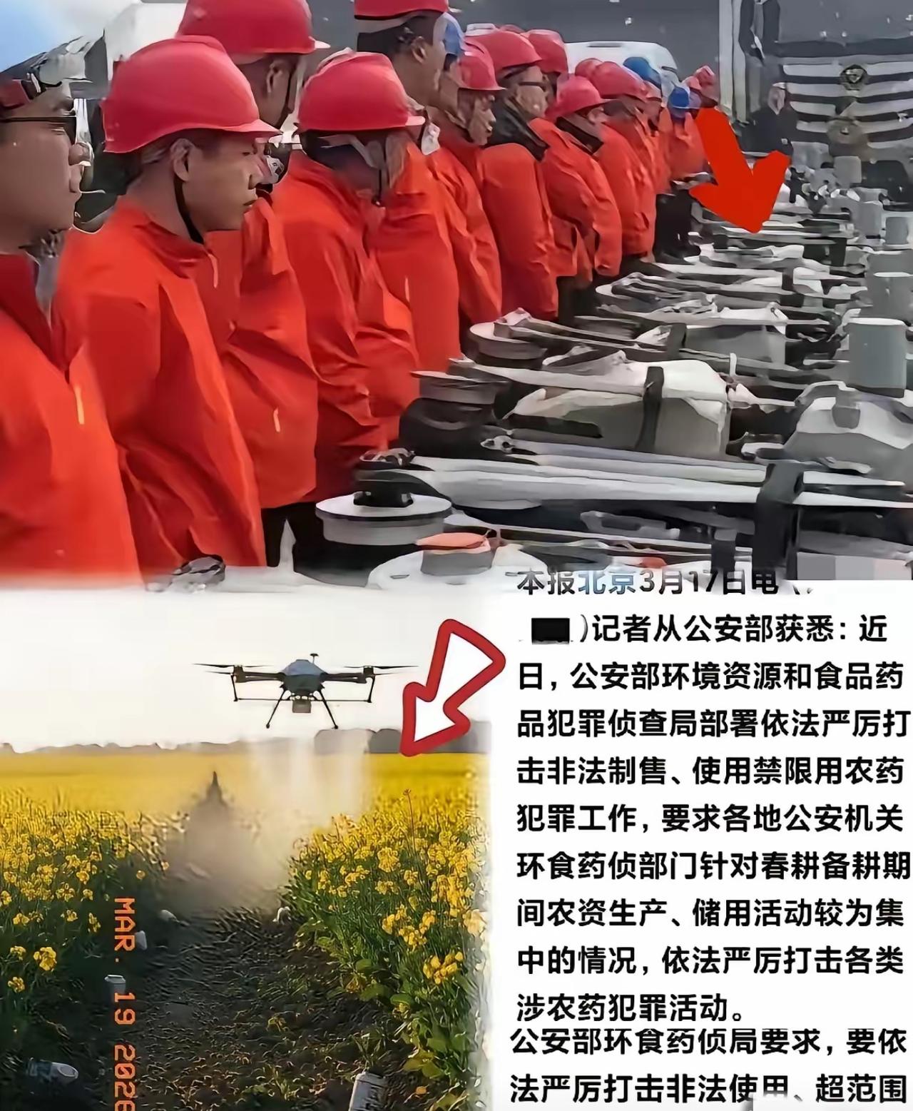 这次严查真是大快人心！有些人穿着红工服，操控无人机，专挑油菜花盛开的时候乱喷农药