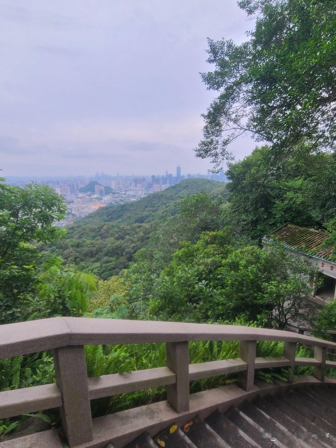 🌳春日漫游指南｜鸣春谷松鼠园打卡

周末想找个既能跑步又能亲近自然的好去处？这